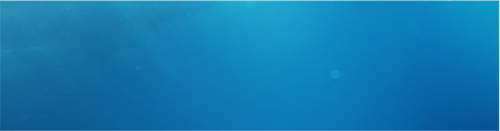 Ocean Background